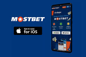 Review of Mostbet Application